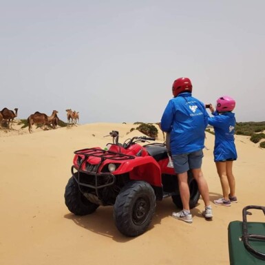 Dromedary & Quadbike