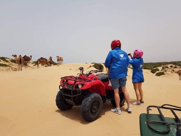 Dromedary & Quadbike