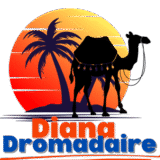 https://dianadromadaires-essaouira.com/wp-content/uploads/2025/05/Diana-1-160x160.png